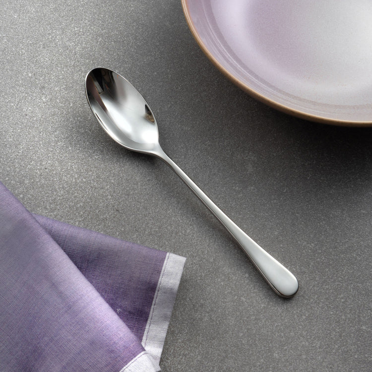 Iona Bright Soup Spoon