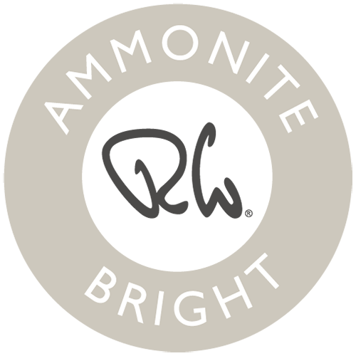 Ammonite Bright American / US Teaspoon