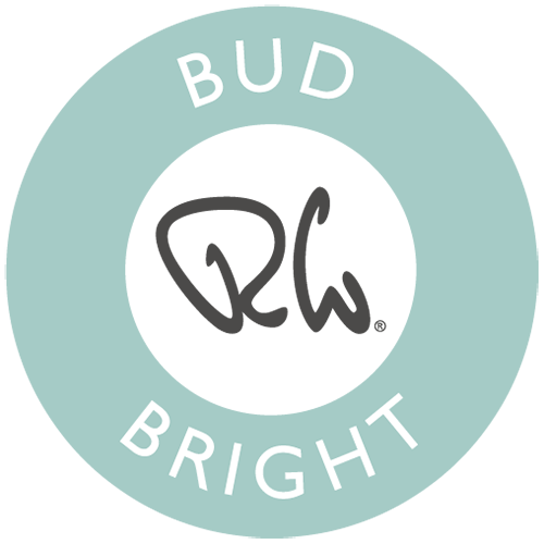 Bud Bright Dessert Spoon