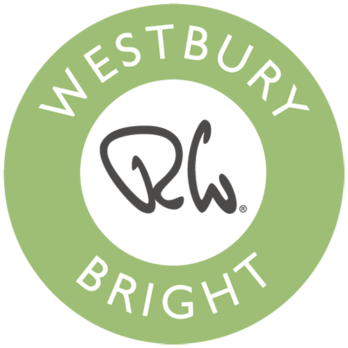 Westbury Bright American / US Teaspoon