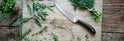 Cooking with Herbs & How to Use Them