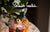 Festive Recipe 2022 Lookbook