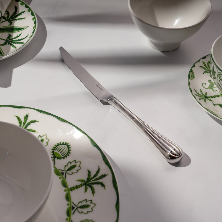 Palm Air Bright Steak Knife