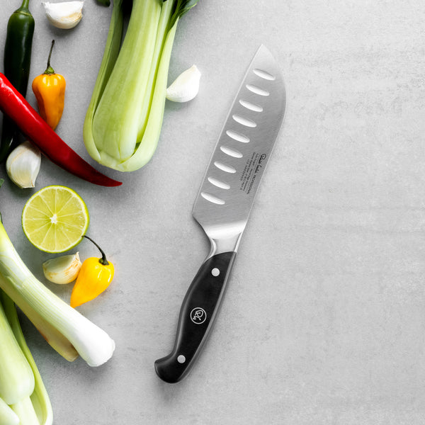 Professional Santoku Knife 14cm Robert Welch Designs Ltd