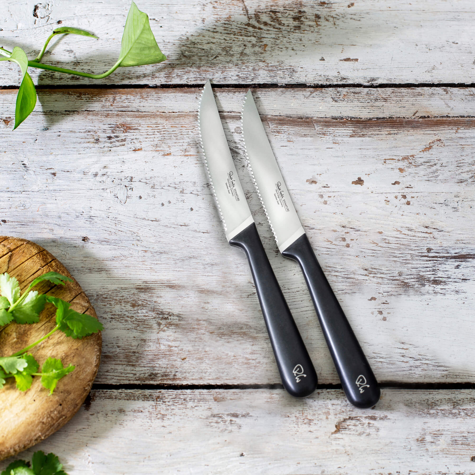 Steak Knives | Stainless Steel Kitchen Knives Set