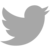 twitter_icon