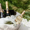 Drift Champagne / Wine Bucket Large