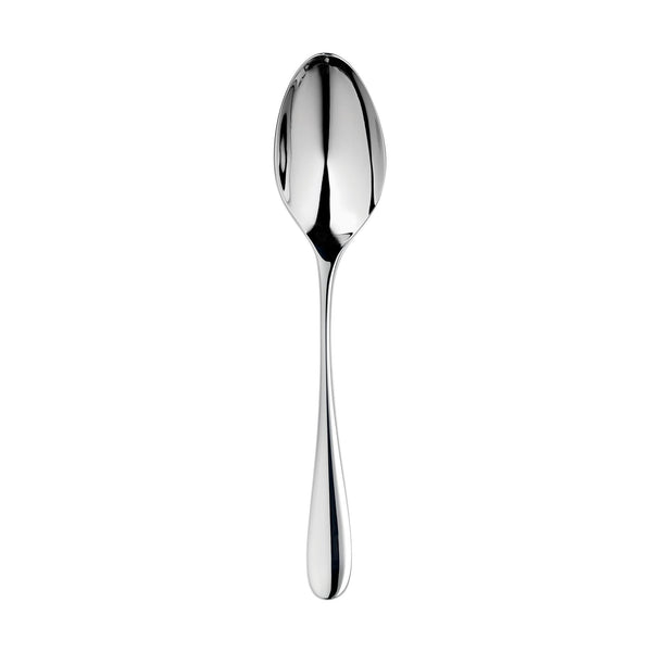 Arden Bright Soup Spoon