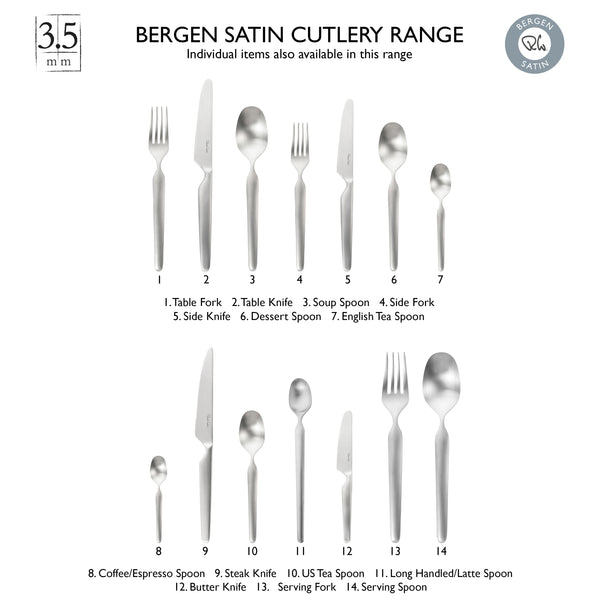 Bergen Satin Table Knife