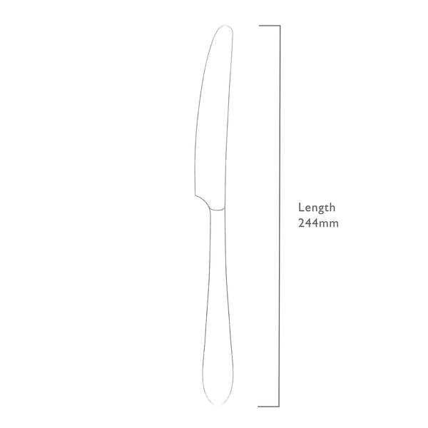 Norton Bright Table Knife