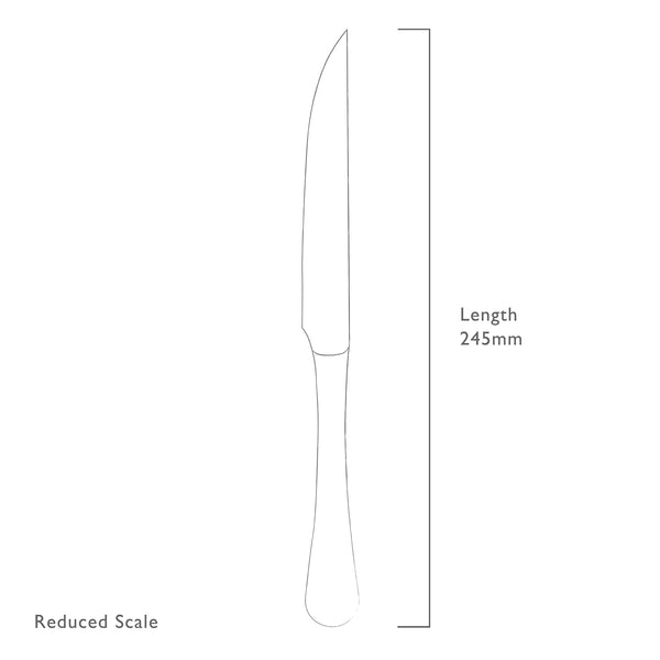 Radford Bright Steak Knife, Set of 4
