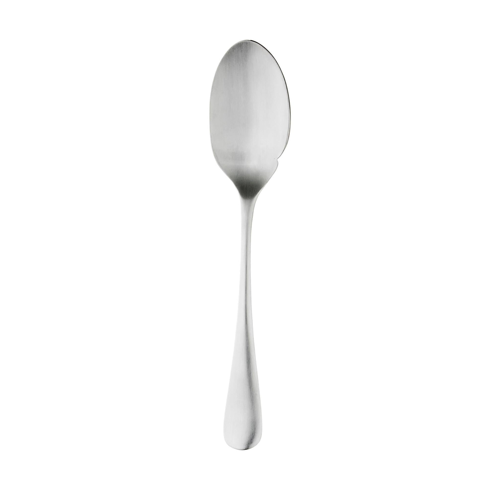 Sauslepel