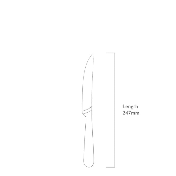 Signature Plain Edged Steak Knife, Set of 4
