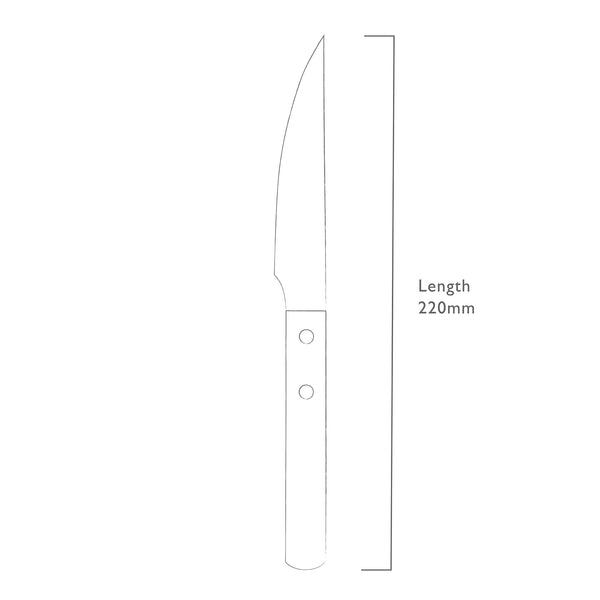 Trattoria Bright Steak Knife