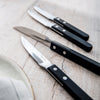 Trattoria Bright Steak Knife, Set of 6