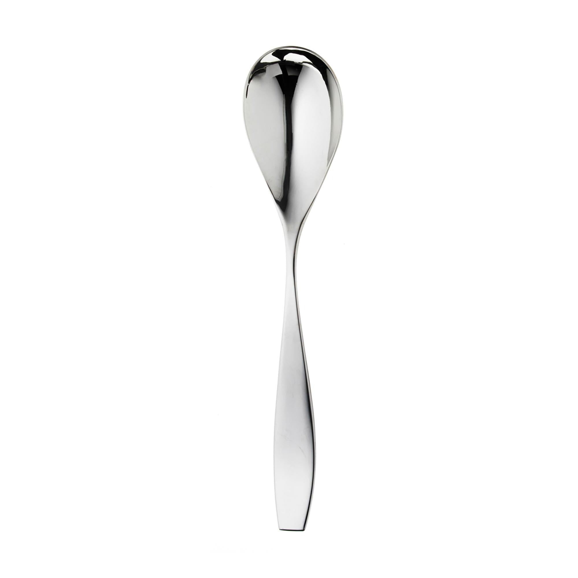 Vista Bright Serving Spoon | Cutlery | Robert Welch Designs Ltd