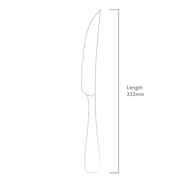 Warwick Bright Steak Knife, Set of 4